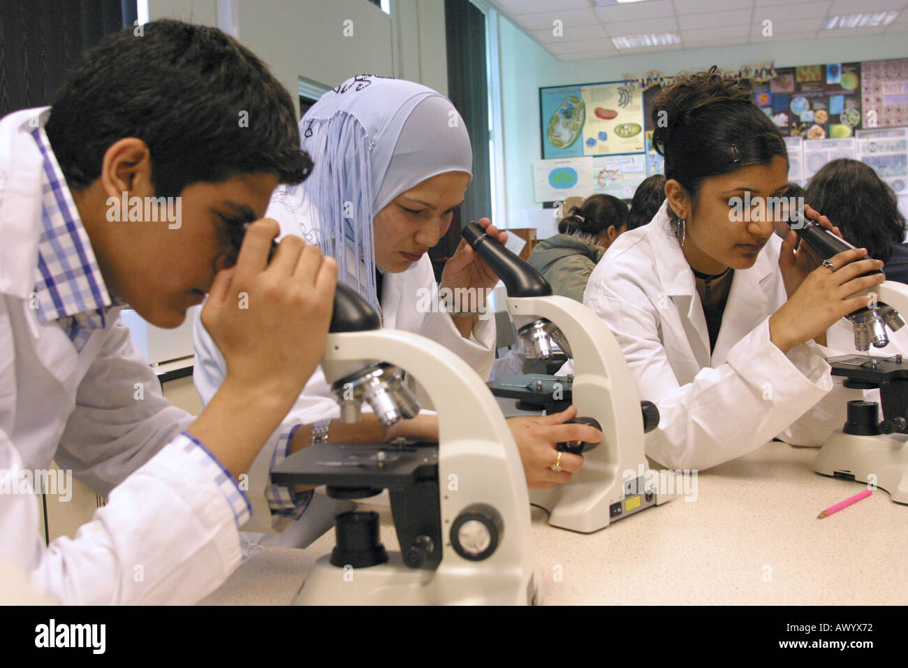 3 Sixth form Students looking through microscopes in science lab Stock Photo