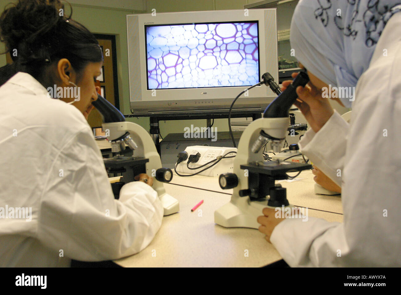 Female Sixth form Students looking through microscope in science laboratory Stock Photo