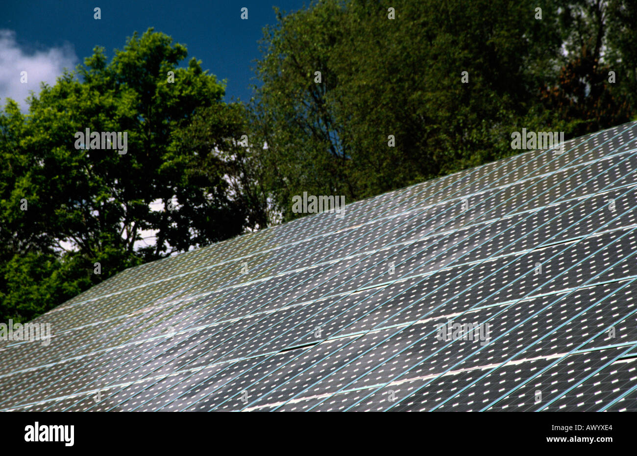 PICTURE CREDIT DOUG BLANE Roof of photovoltaic solar panels Stock Photo