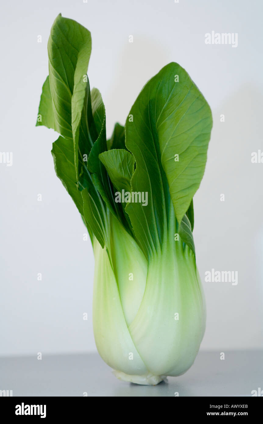 White stem Pack Choi Stock Photo