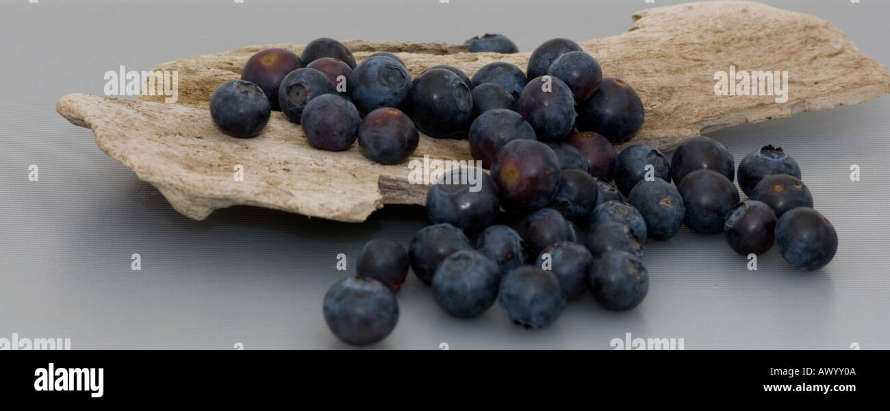 Blueberries on piece of driftwood Stock Photo