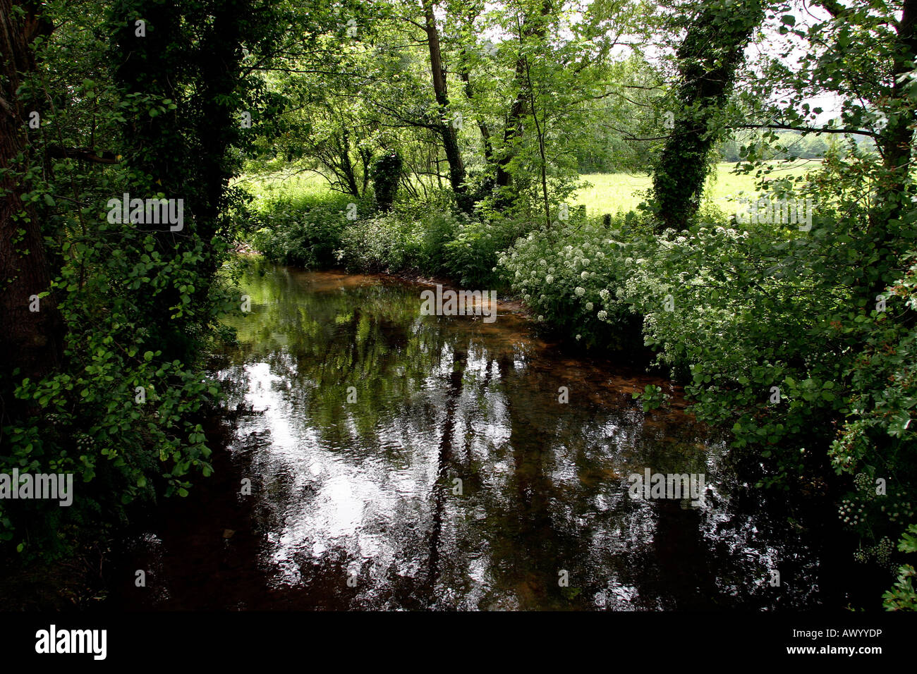 Somerset Dunster River Avill flowing through pastoral landscape Stock Photo