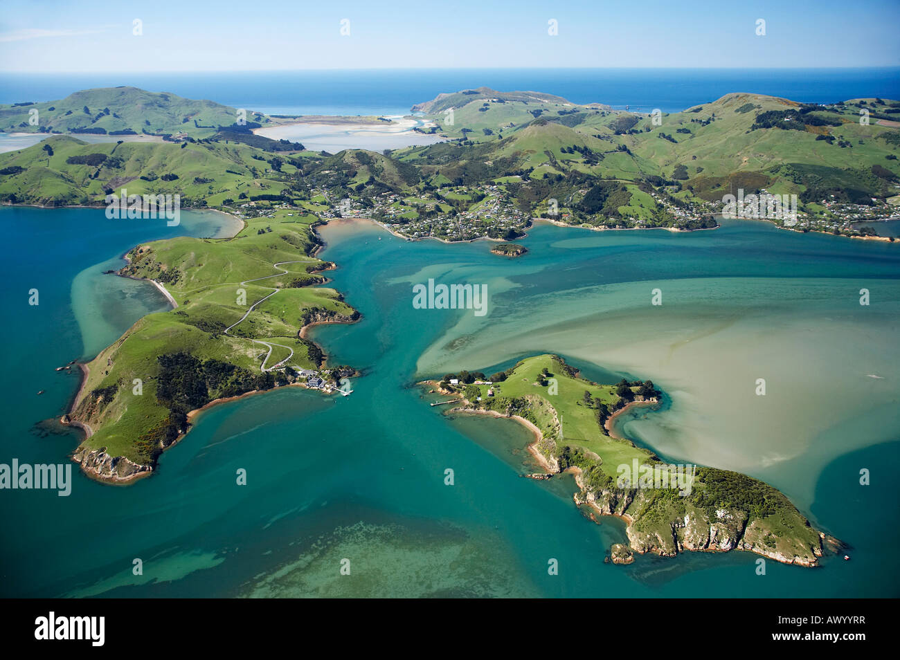 Portobello Peninsula Otago Peninsula and Quarantine Island Otago