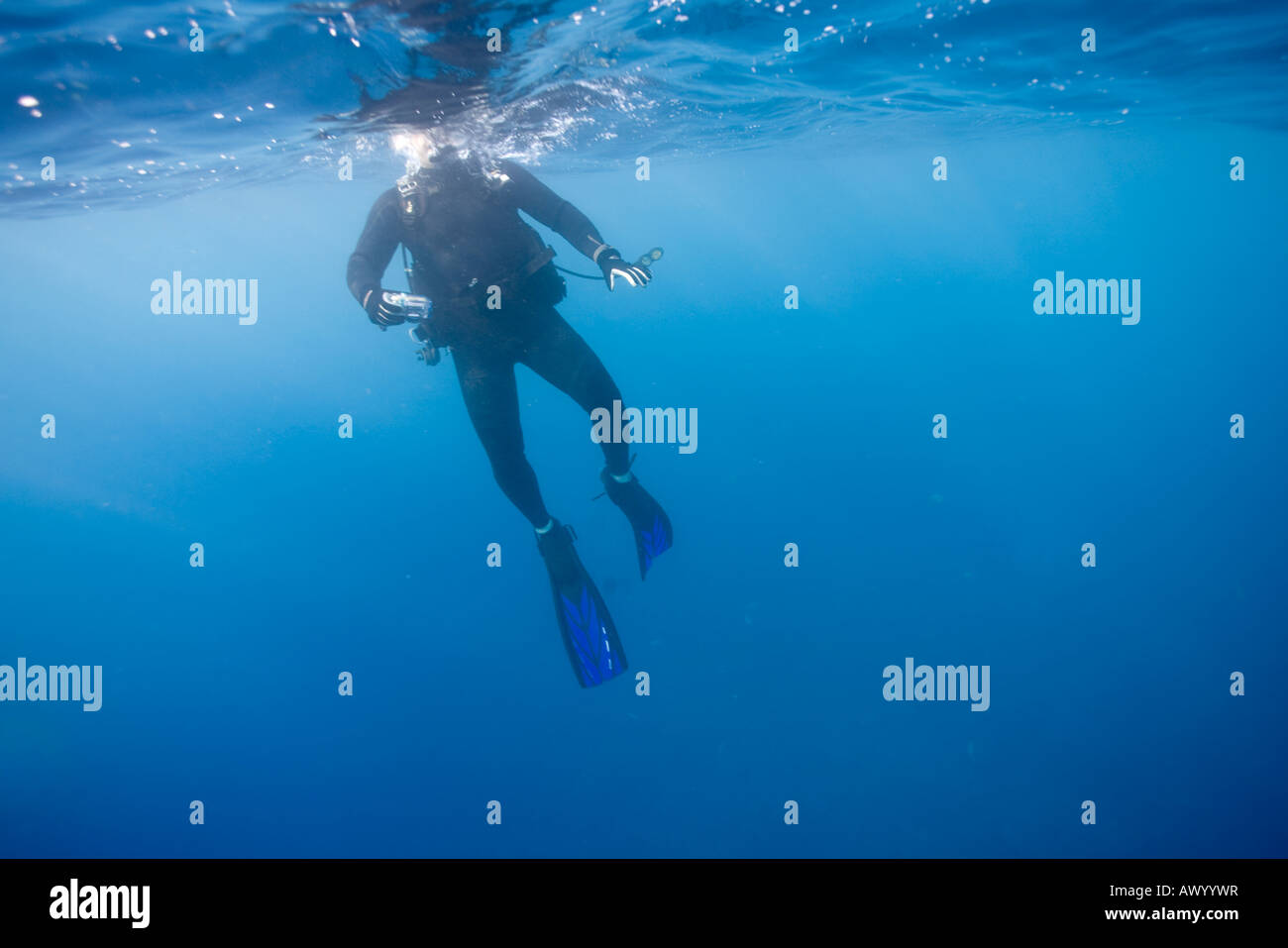 USA Hawaii Big Island Kona Scuba Diver floating at surface while holding small underwater camera