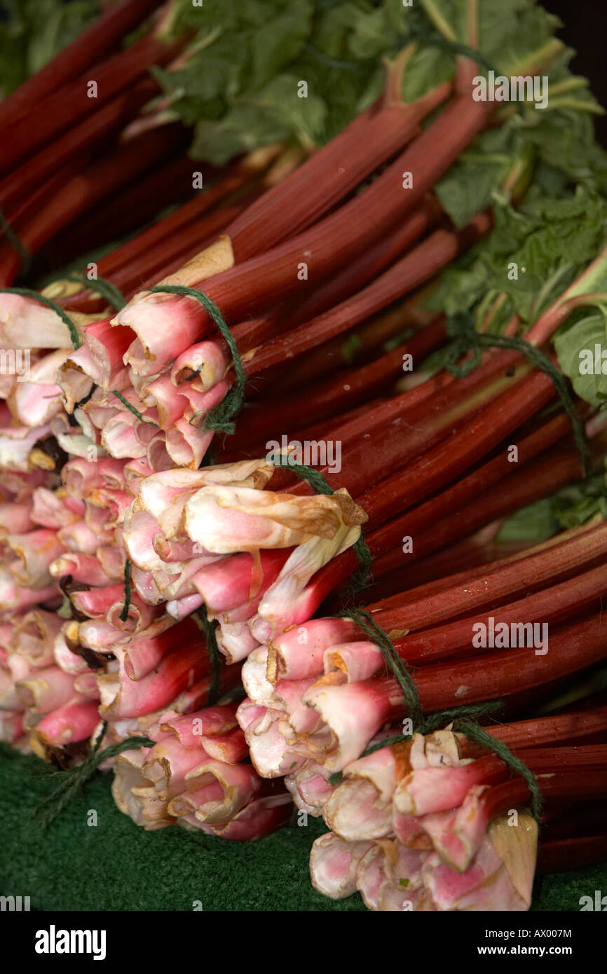 bunches of rhubarb tied up for sale on a stall at an indoor farmers market Stock Photo
