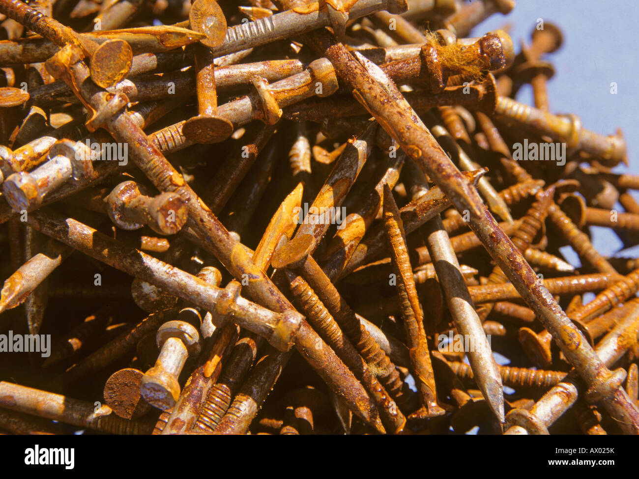 Rust covered nails Stock Photo