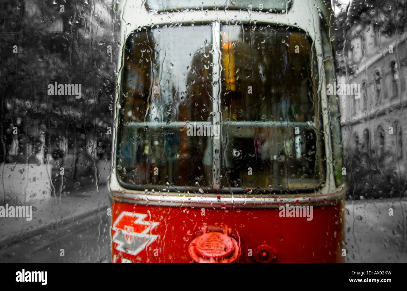 A tram traveling through a tree-lined street on a rainy day in Vienna, Austria. Stock Photo