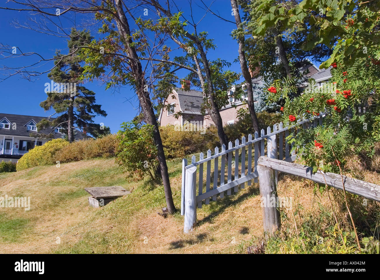 Sorbus trees with red fruits and old fence on private property at Tadoussac Stock Photo