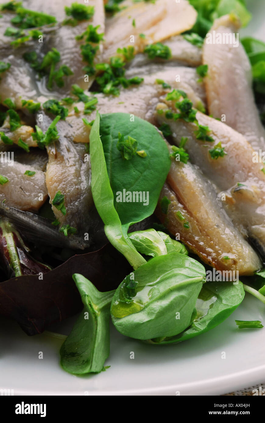Thinly sliced raw fish with a dressing - Anchovy - Istrian kitchen Stock Photo