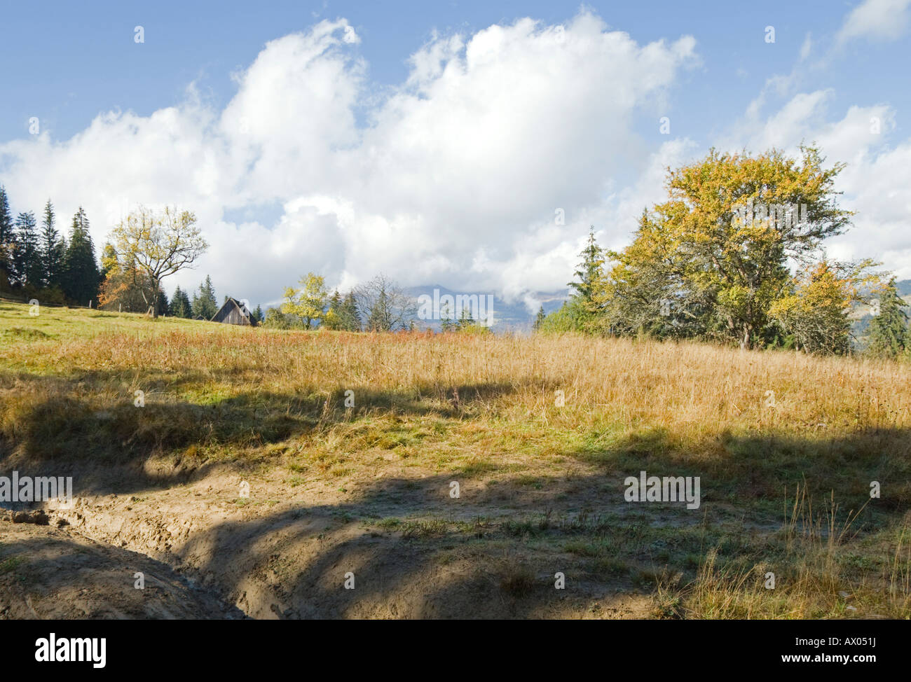 Autumn beginning morning in Carpathian mountain (Ukraine) view from ...