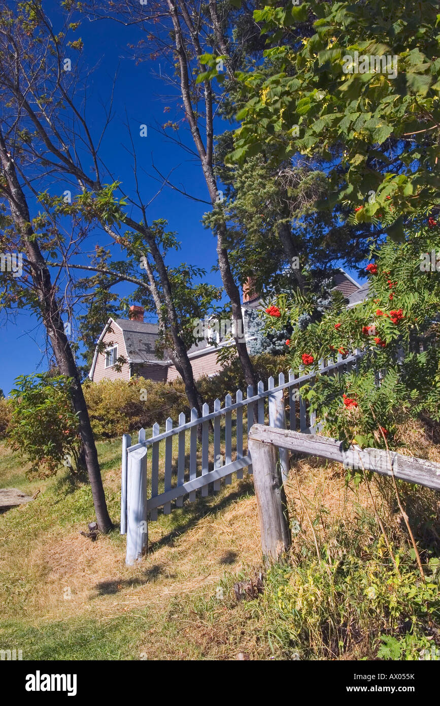 Sorbus trees with red fruits and old fence on private property at Tadoussac Stock Photo