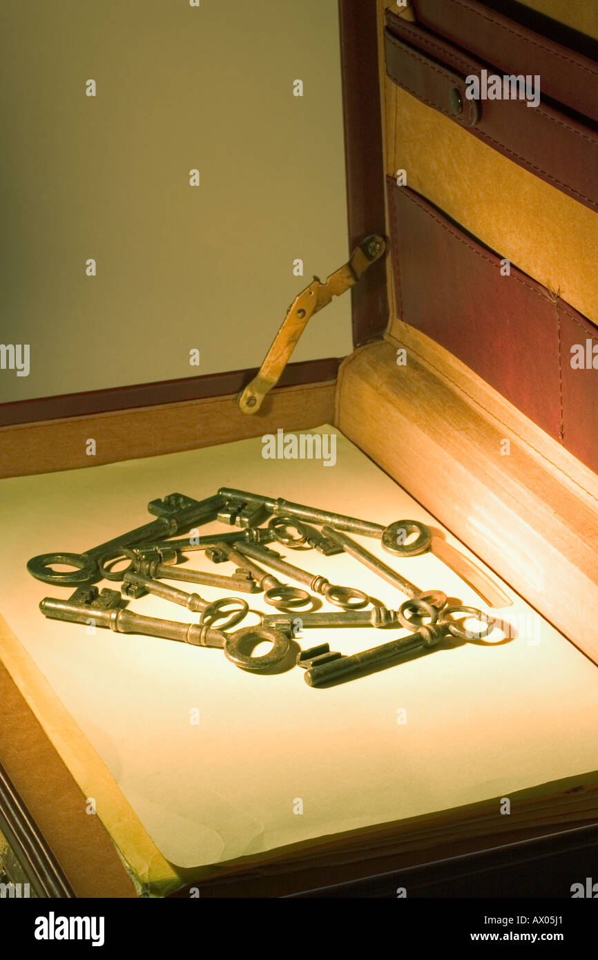 Skeleton Keys in Briefcase Stock Photo