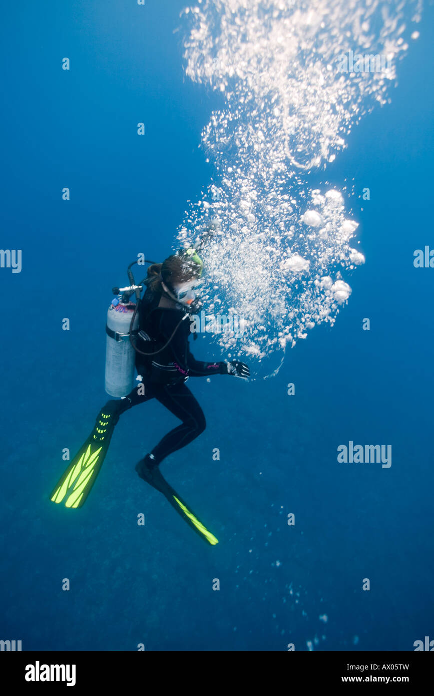 USA Hawaii Big Island Kona Scuba Divers swimming underwater in clear