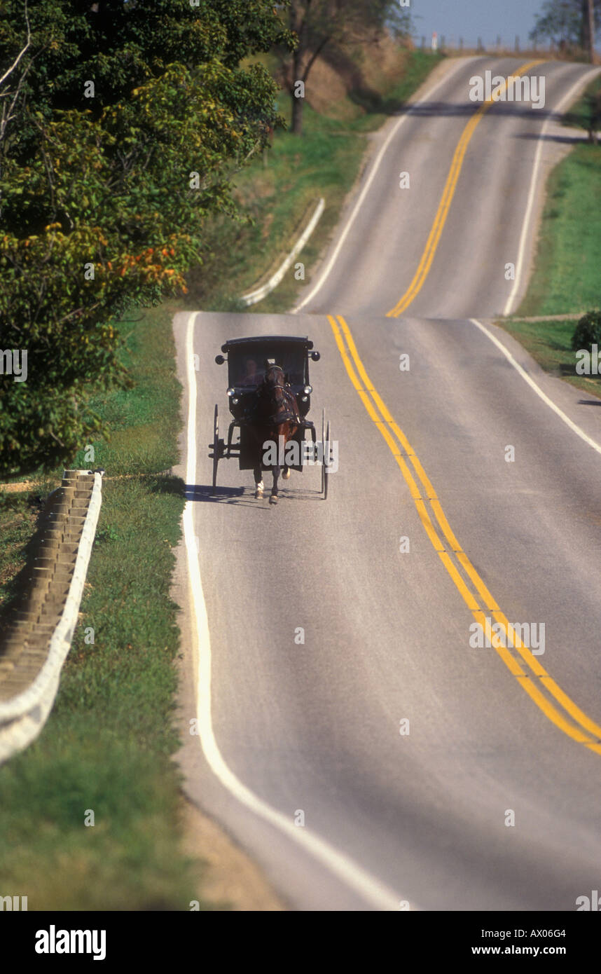 Buggy and horse hi-res stock photography and images - Alamy