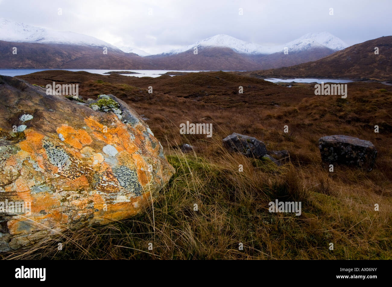 Glen Garry, looking across Loch Quoich to Sgurr Mor, lichen-covered rock boulder Stock Photo