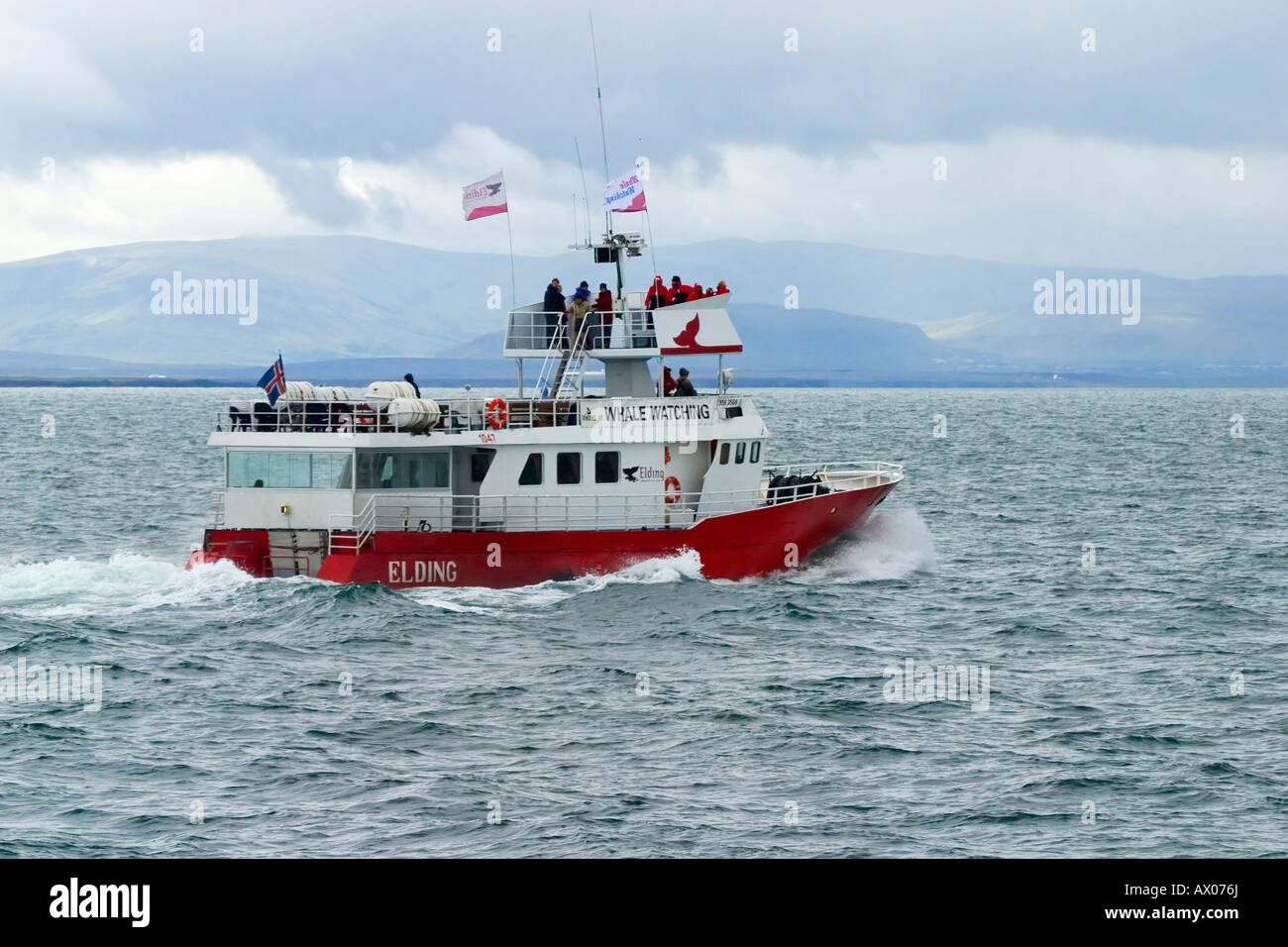 Whale watching boat sets out from Reykjavik Iceland Europe Stock Photo