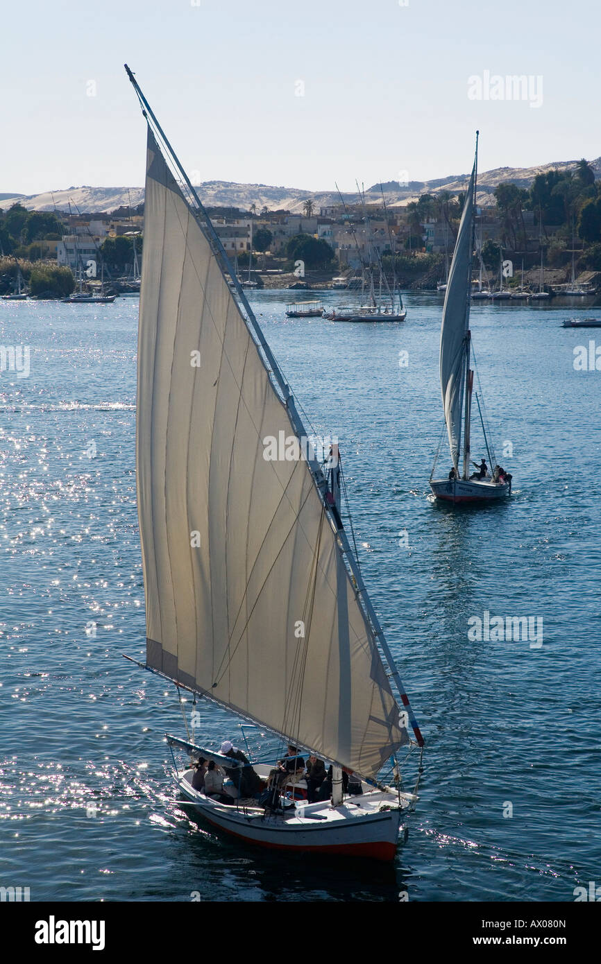 Felucca boats sailing on the River Nile Aswan Upper Egypt North Africa Middle East Stock Photo