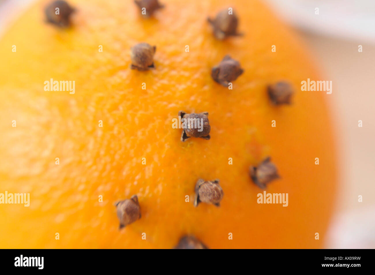 Orange with cloves made into pomander for Christmastime Stock Photo