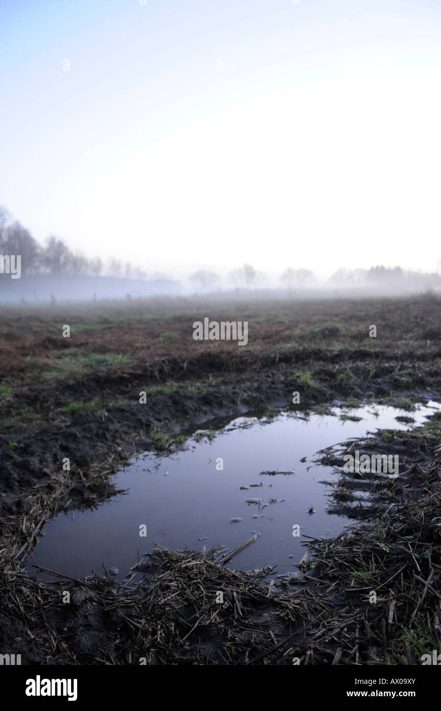 Fog field scenery hi-res stock photography and images - Alamy