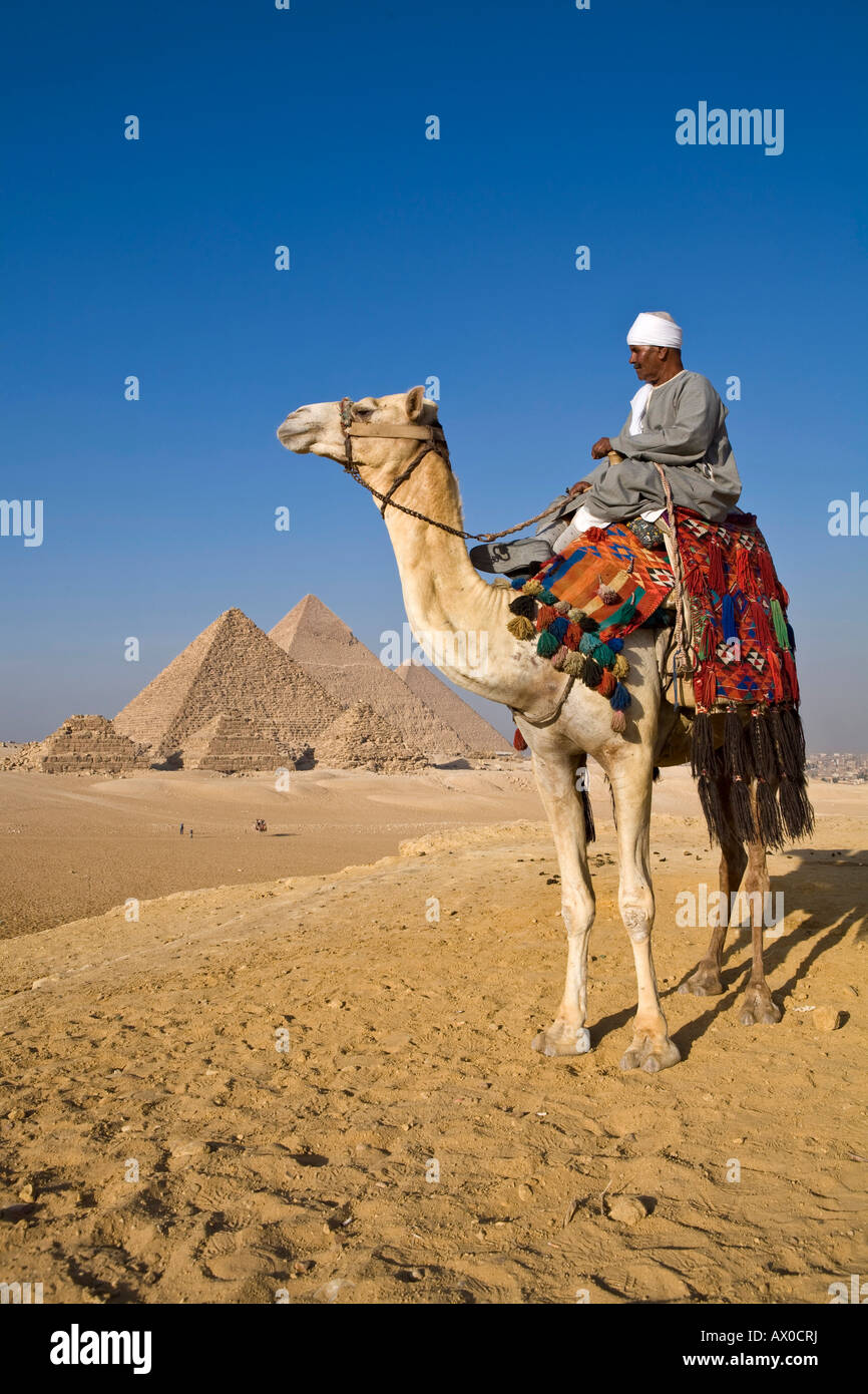 Camel & driver at the Pyramids, Giza, Cairo, Egypt Stock Photo