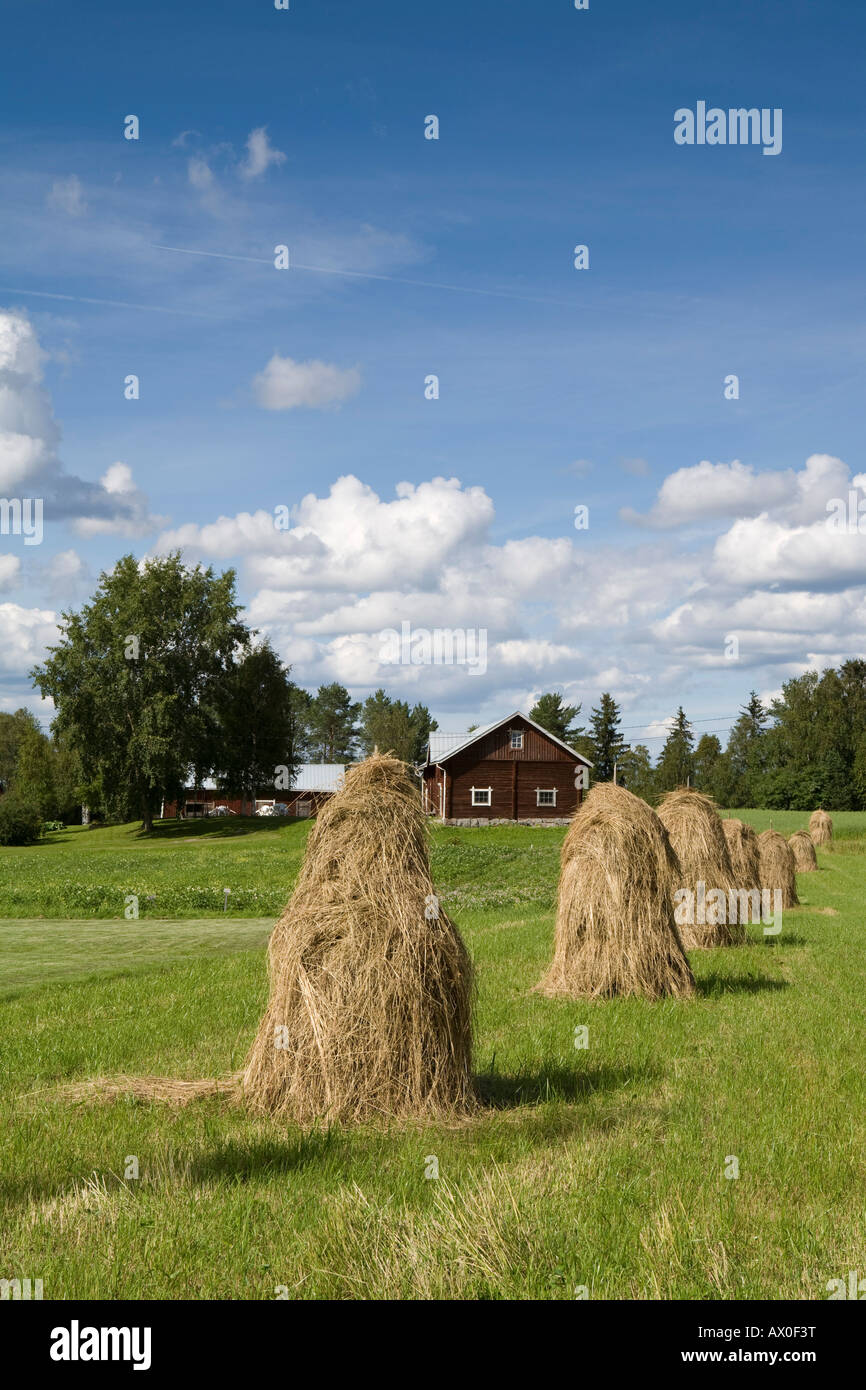 Hay Stacks & Farm, Ilomantsi, Eastern Finland, Finland Stock Photo