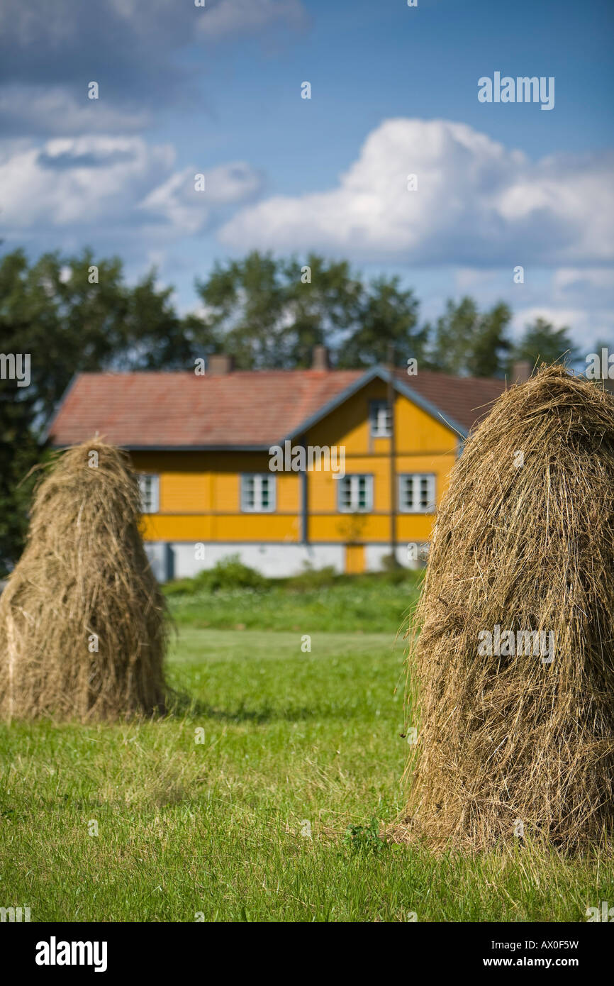 Hay Stacks & Farm, Ilomantsi, Eastern Finland, Finland Stock Photo