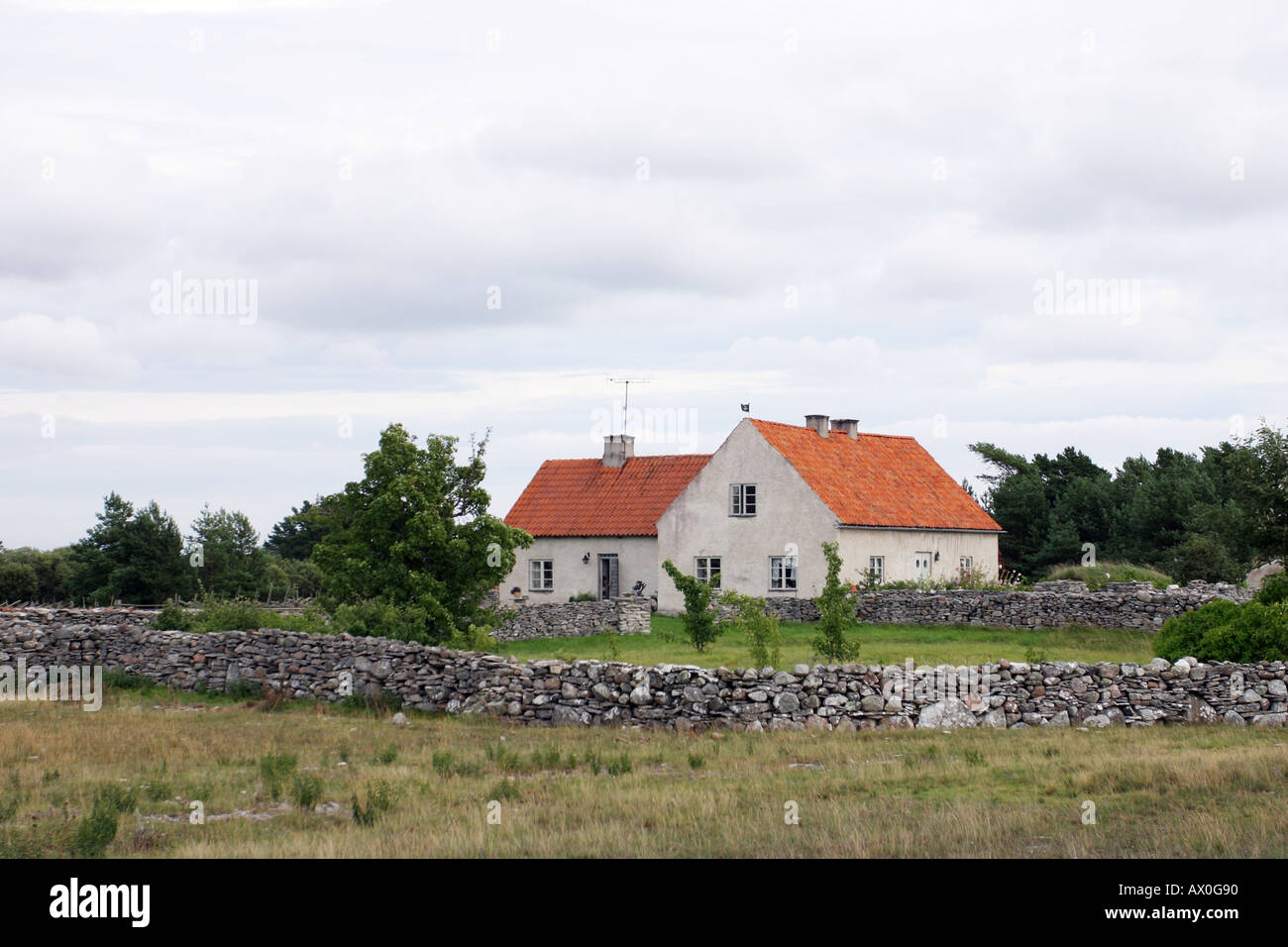 Houses with stone walls around them in Gotland Sweden Stock Photo