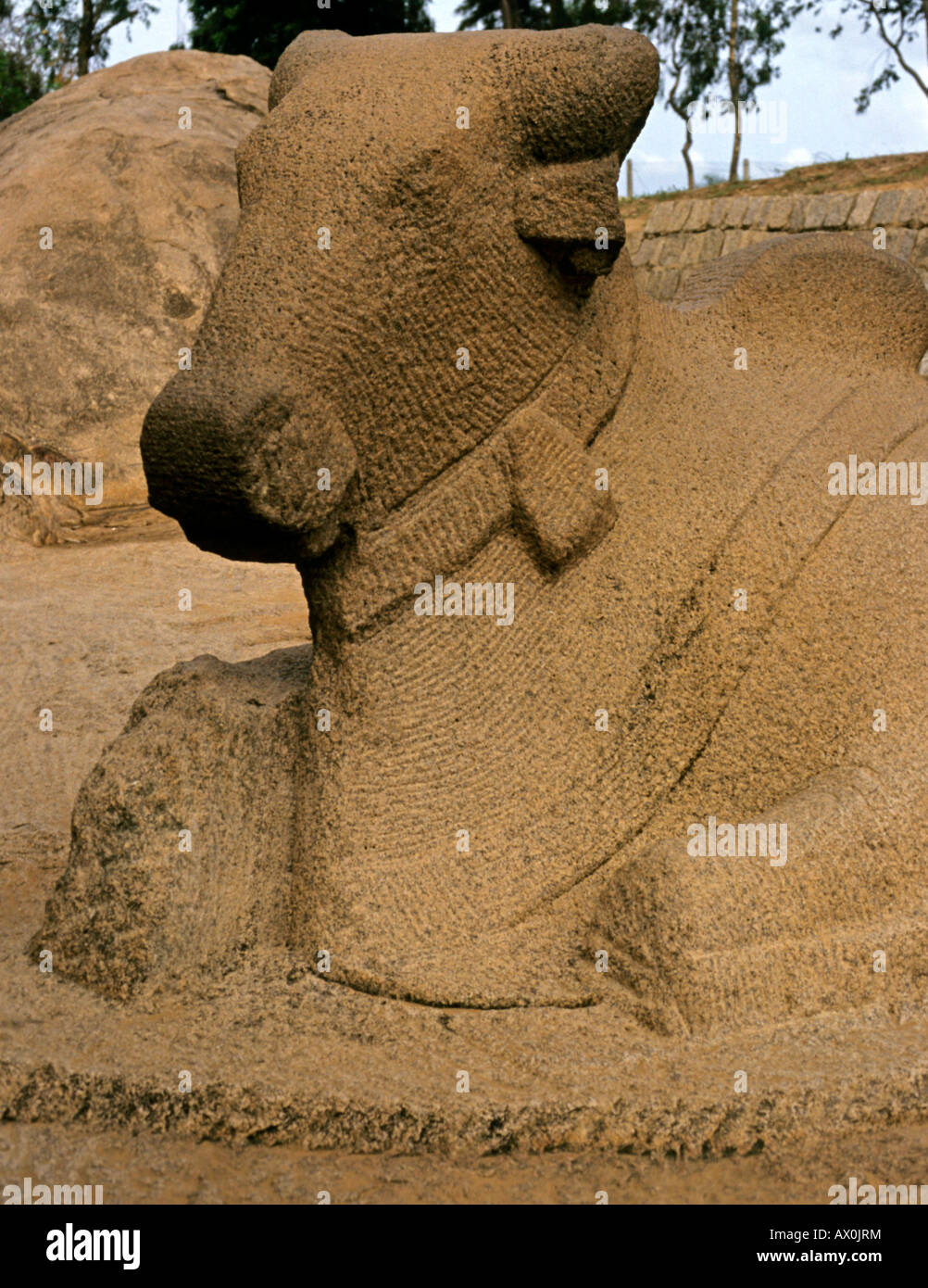 Nandi bull, mount of Shiva, Kanchipuram, Tamil Nadu, India, Asia Stock Photo