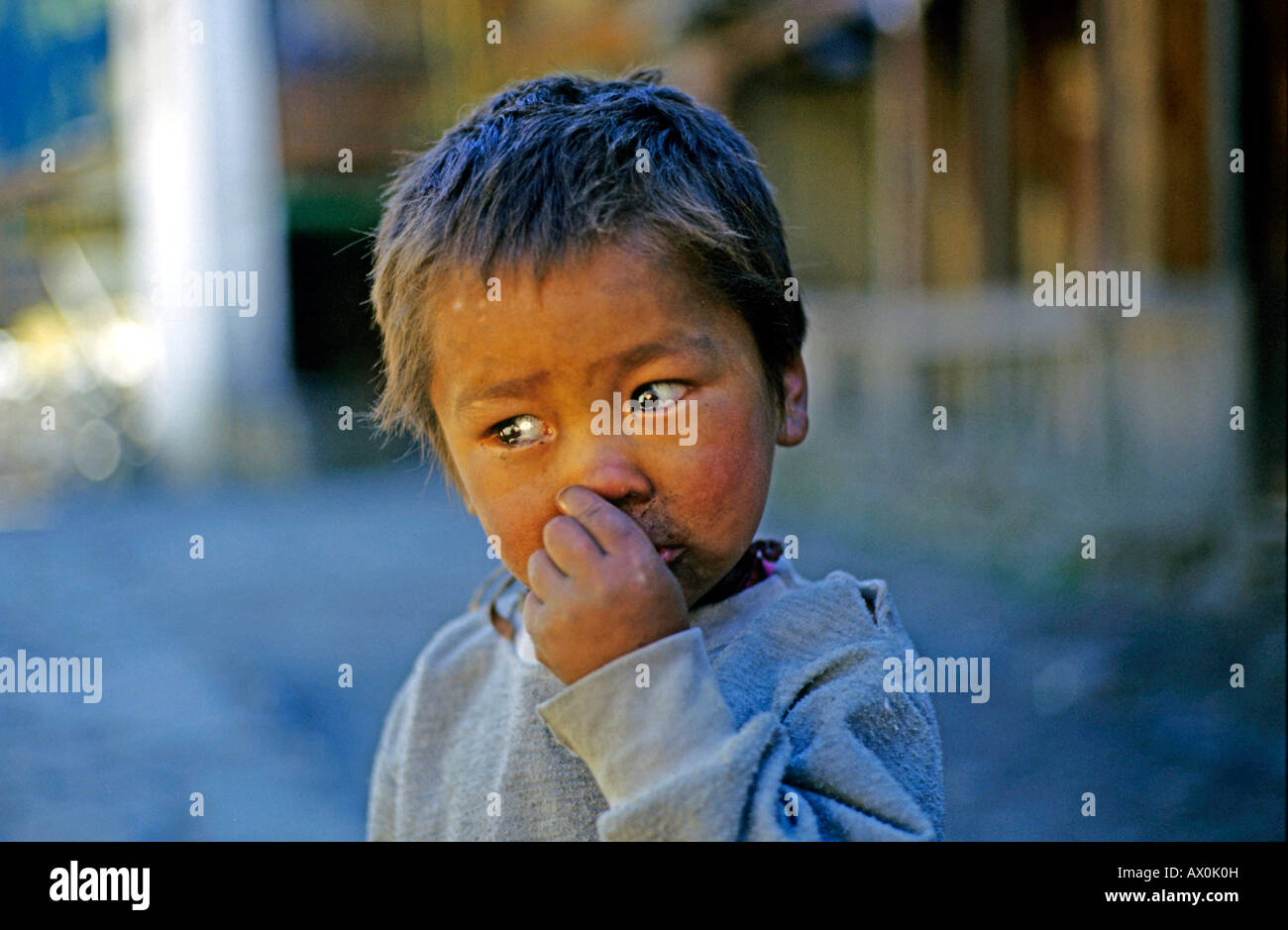 Abandoned boy, Annapurna district, Himalayas, Nepal, Asia Stock Photo