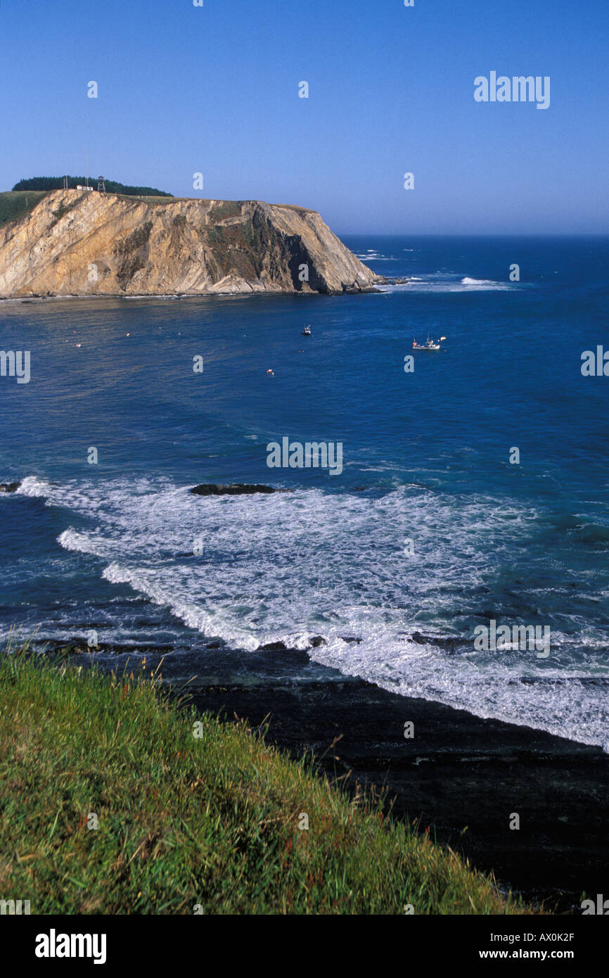 California, Point Arena, Coastal bluffs and Arena Cove Stock Photo Alamy