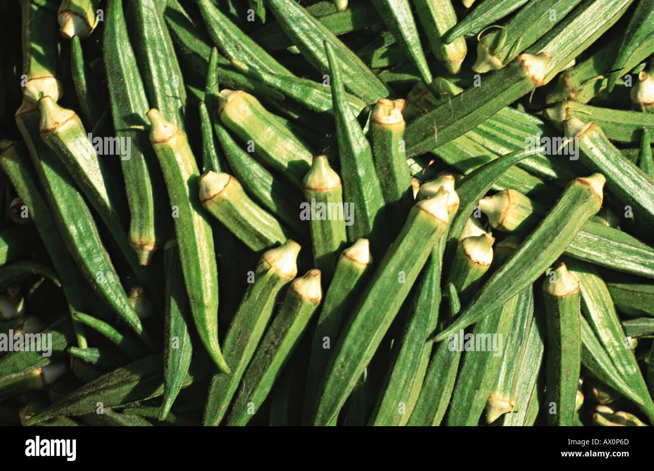 Okra Vegetables for sale on a market stall Varanasi India Stock Photo