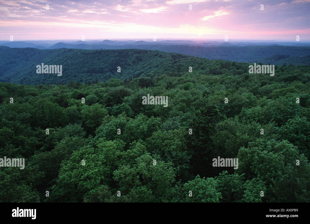 Palatinate forest biosphere reserve hi-res stock photography and images ...