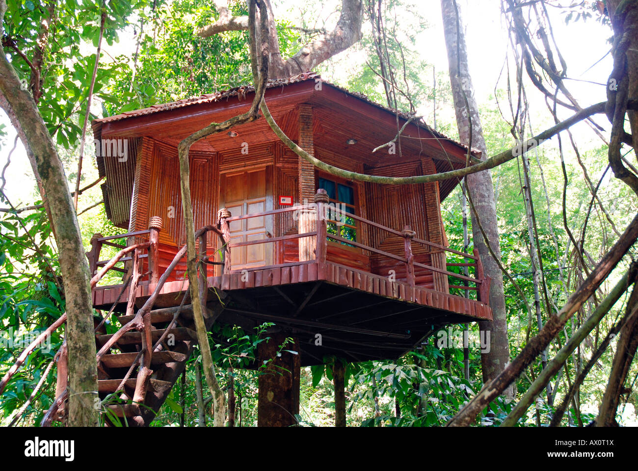 Treehouse, Khao Sok National Park, Thailand, Southeast Asia, Asia ...