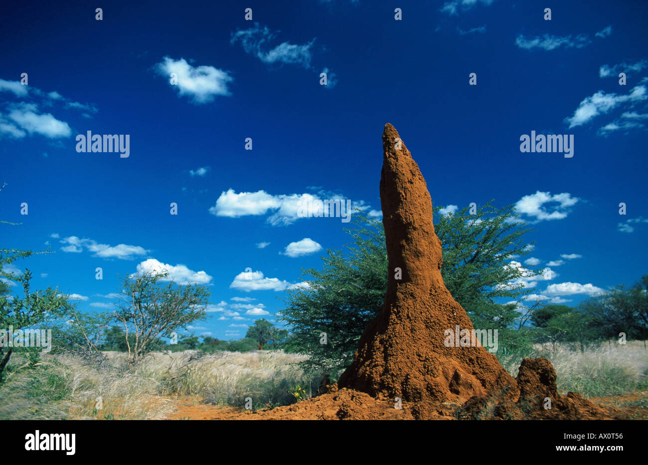 Stober hi-res stock photography and images - Alamy