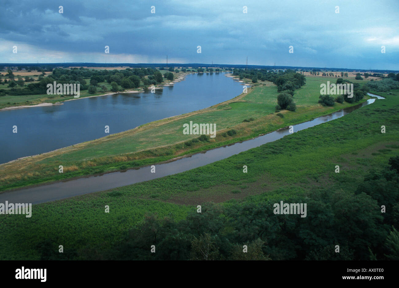 river Elbe with estuary of the Ohre, Germany, Saxony-Anhalt Stock Photo