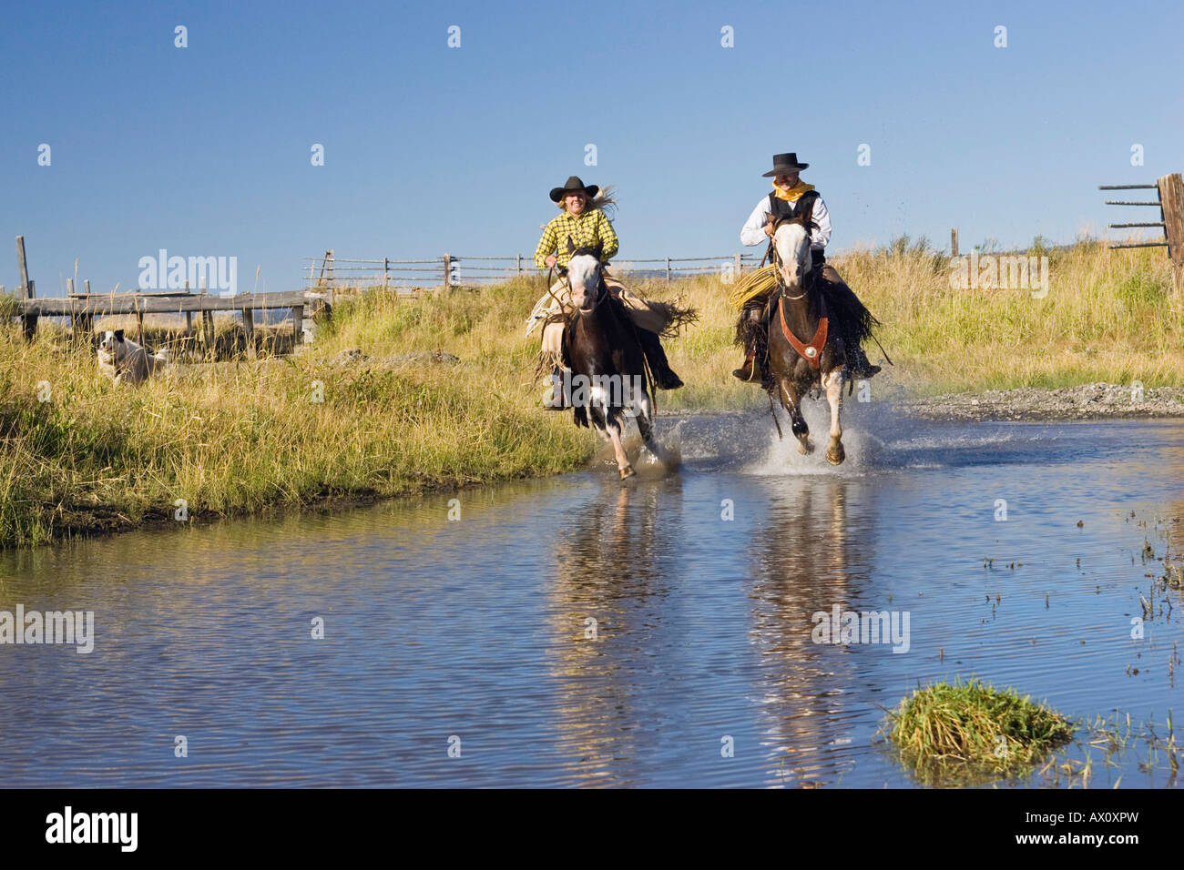 Cowgirl and cowboy riding in water, Oregon, USA Stock Photo