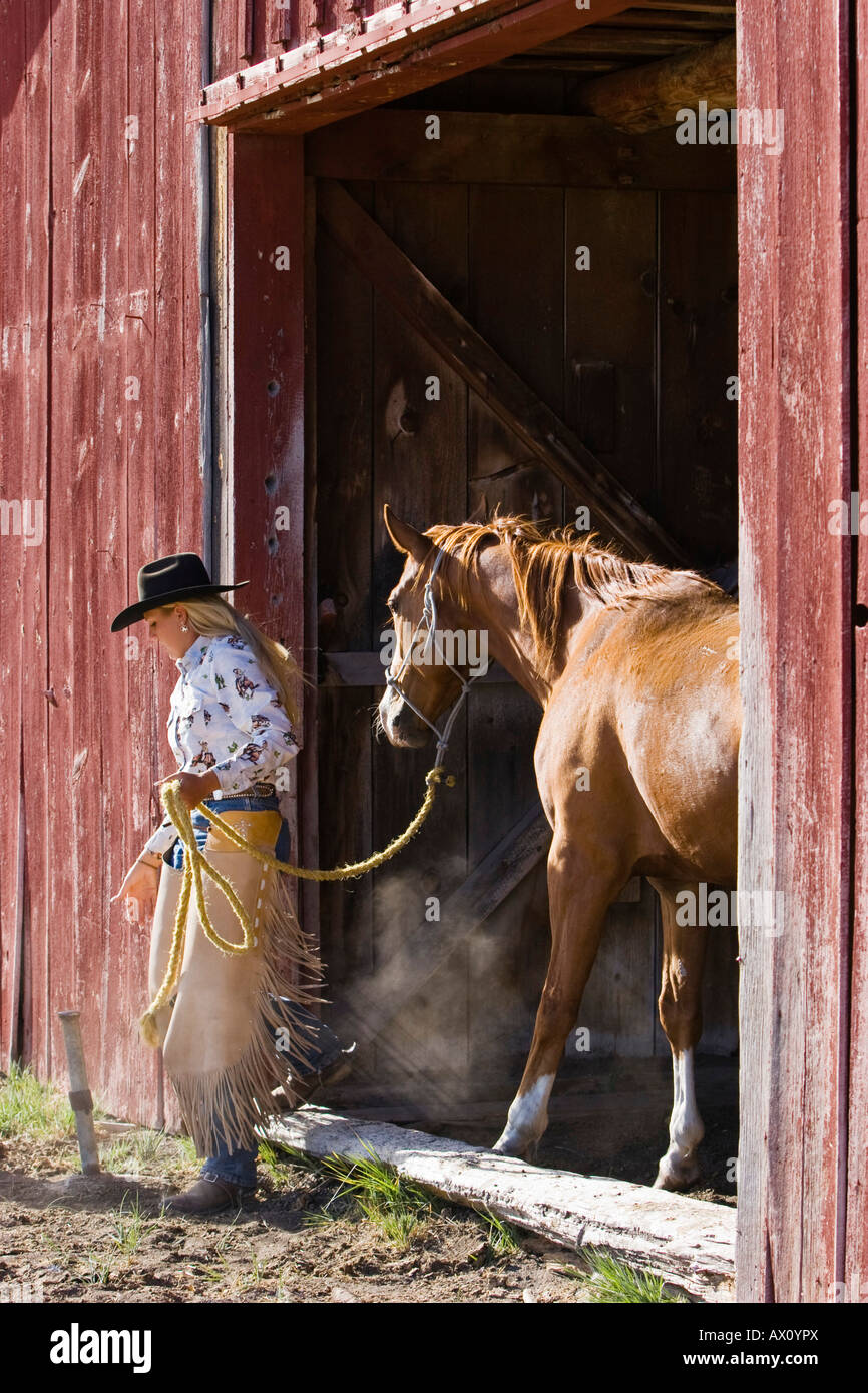 Cowgirl taking horse out of stable, wildwest, Oregon, USA Stock Photo