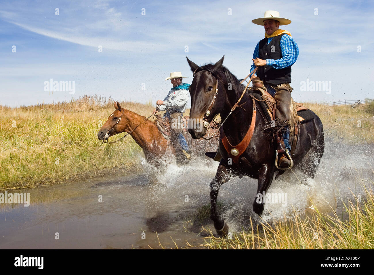 Cowboys riding in water, Oregon, USA Stock Photo