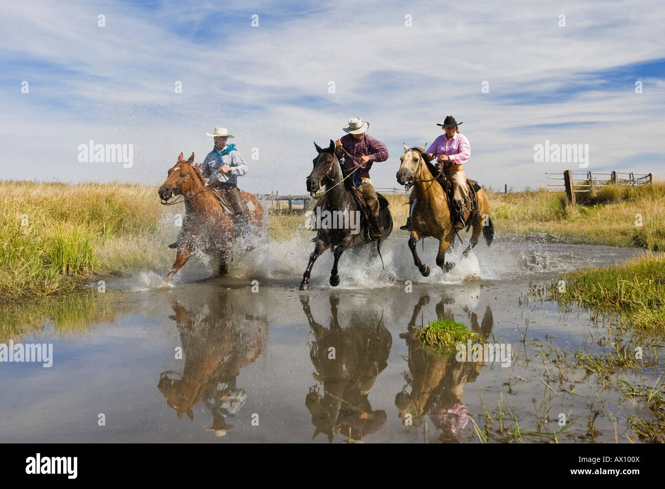 Cowgirl and cowboys riding in water, Oregon, USA Stock Photo