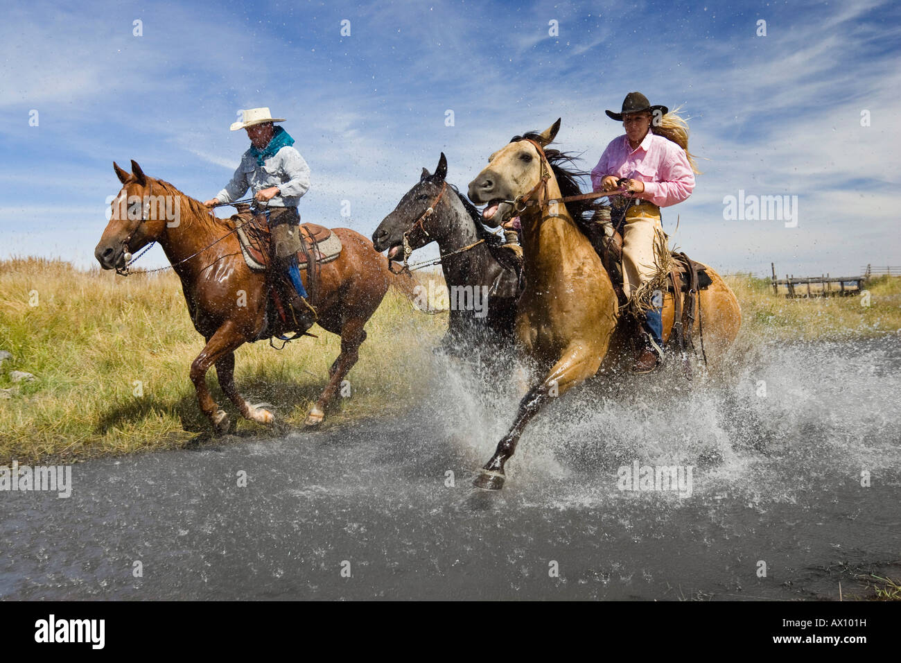 Cowgirl and cowboys riding in water, Oregon, USA Stock Photo