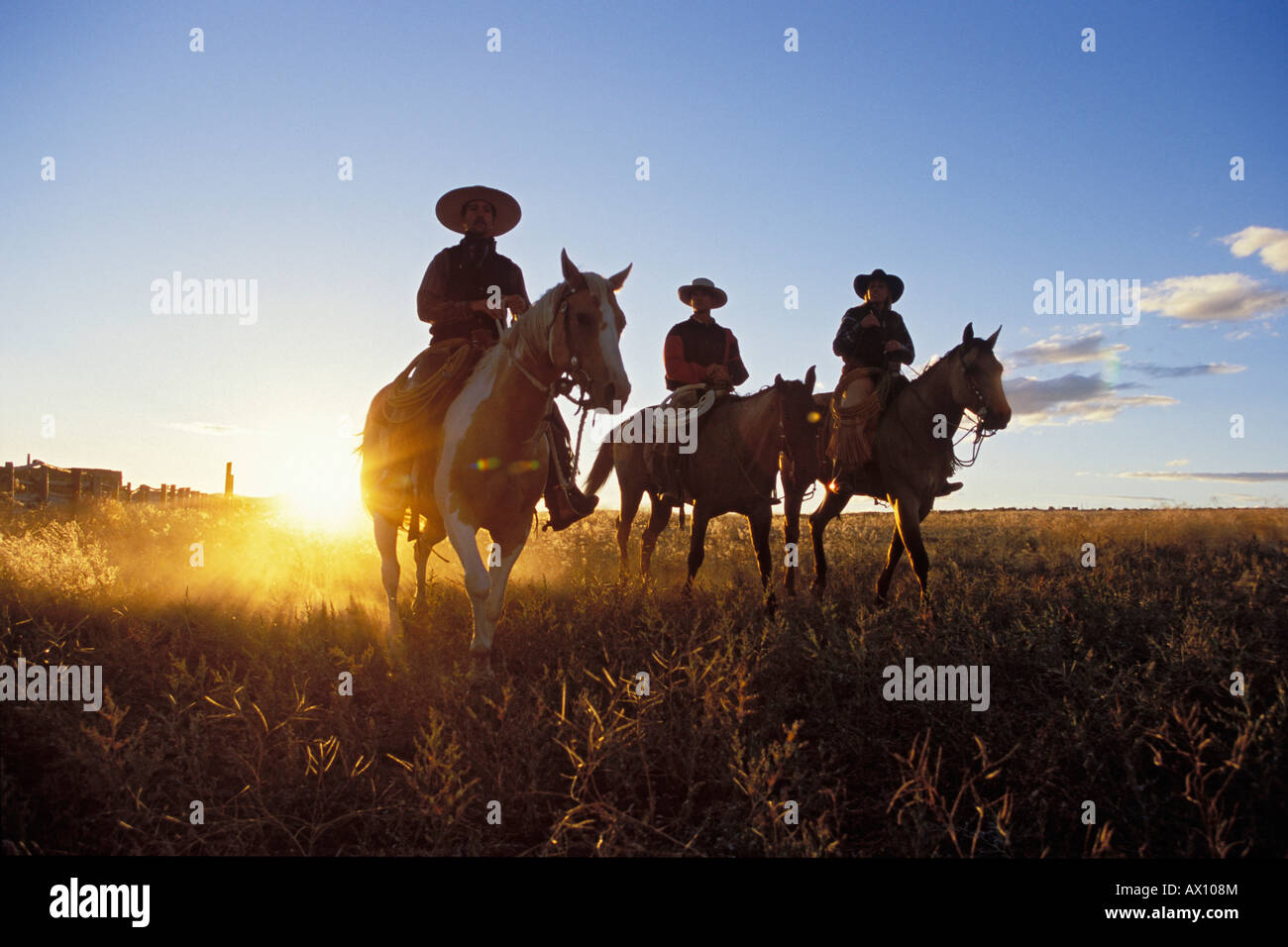 Cowboys horseriding at sunset, Oregon, USA Stock Photo