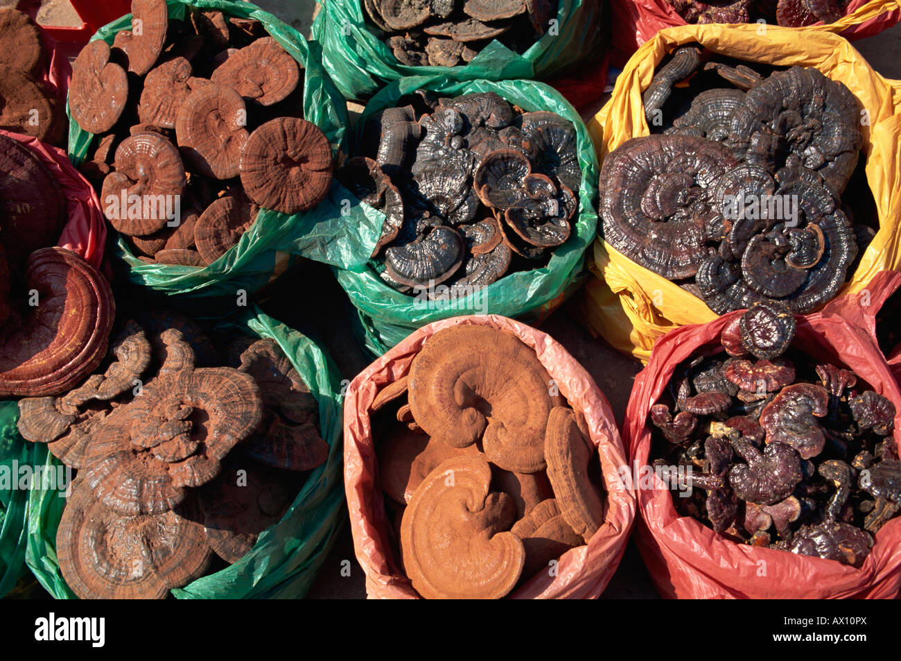 China, Hong Kong, Sheung Wan, Herbal Medicine Shop Display Stock Photo