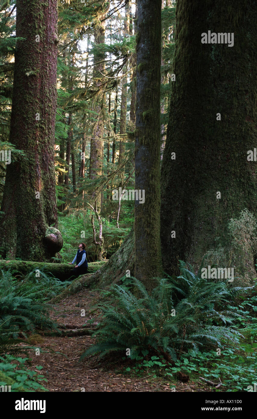 Canada British Columbia Vancouver Island Carmanah Valley Stoltman Grove