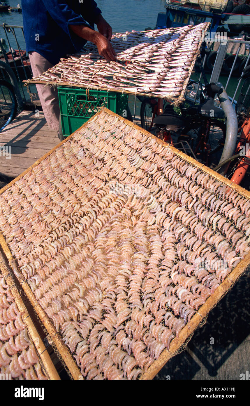 China, Hong Kong, Cheung Chau Island, Drying Shrimps Stock Photo