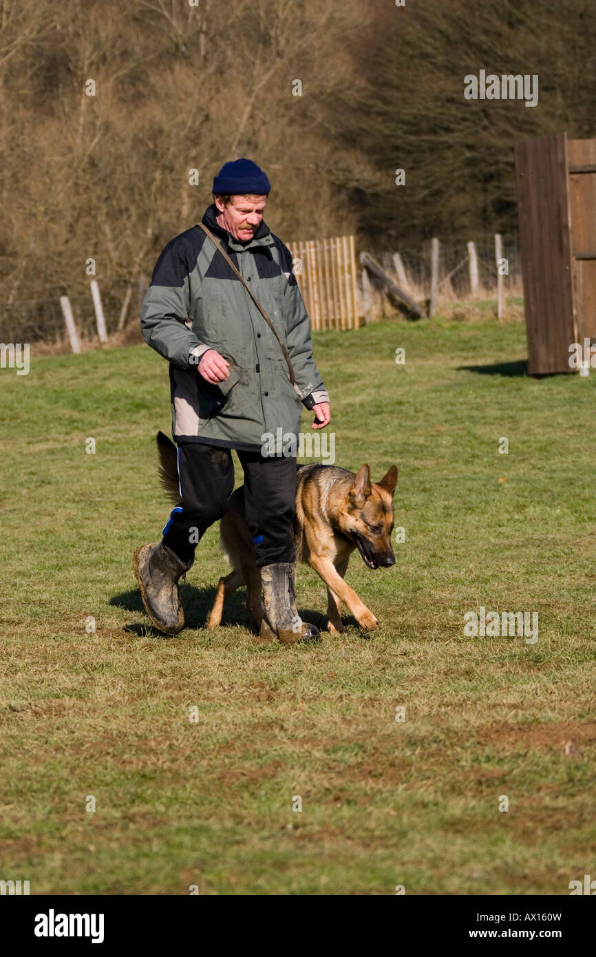 german shepherd behavior training