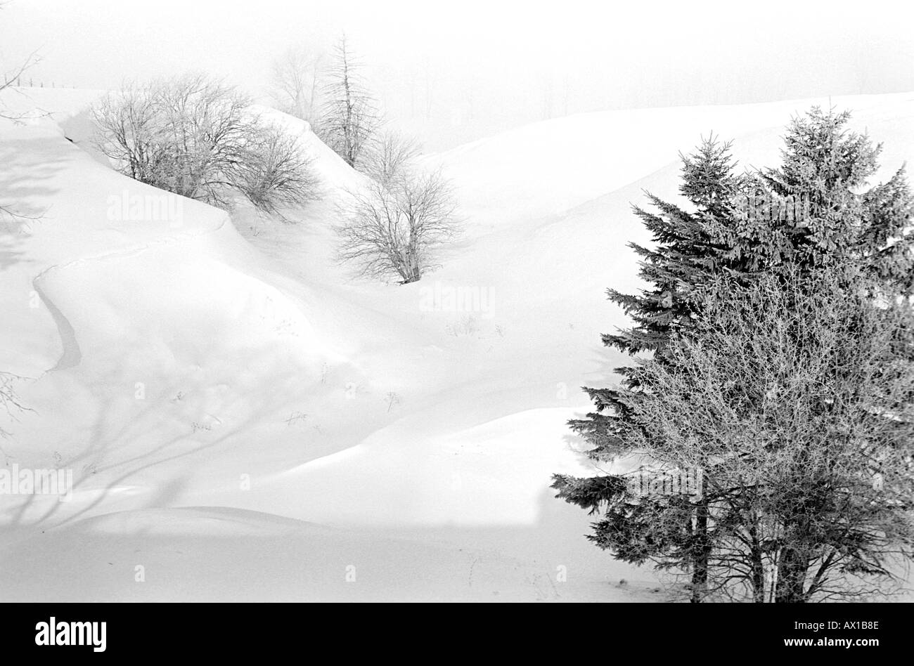 Very snowy Black and White Stock Photos & Images - Alamy