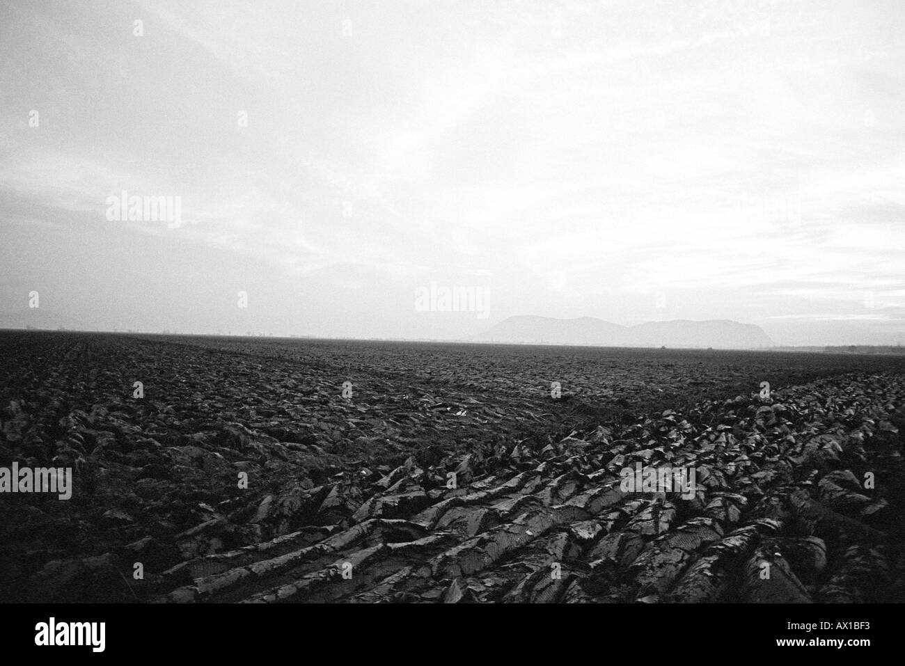 Empty farm field Black and White Stock Photos & Images - Alamy