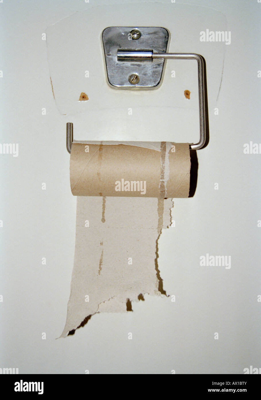 Empty toilet paper roll Stock Photo Alamy