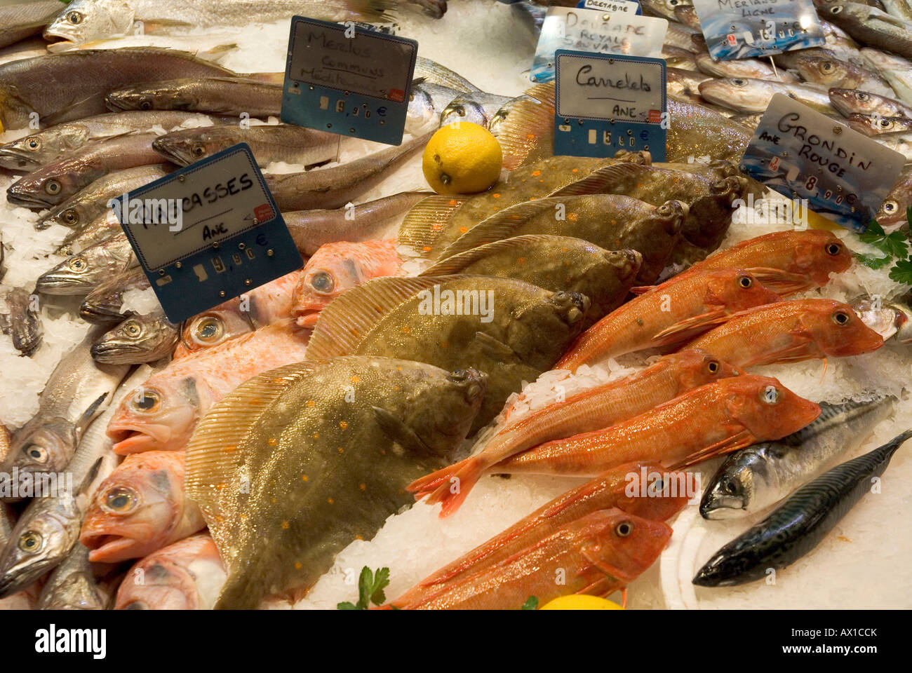 Market hall, fish stand, old part of town, Toulouse, Midi-Pyrenees, Haut-Garonne, France Stock Photo