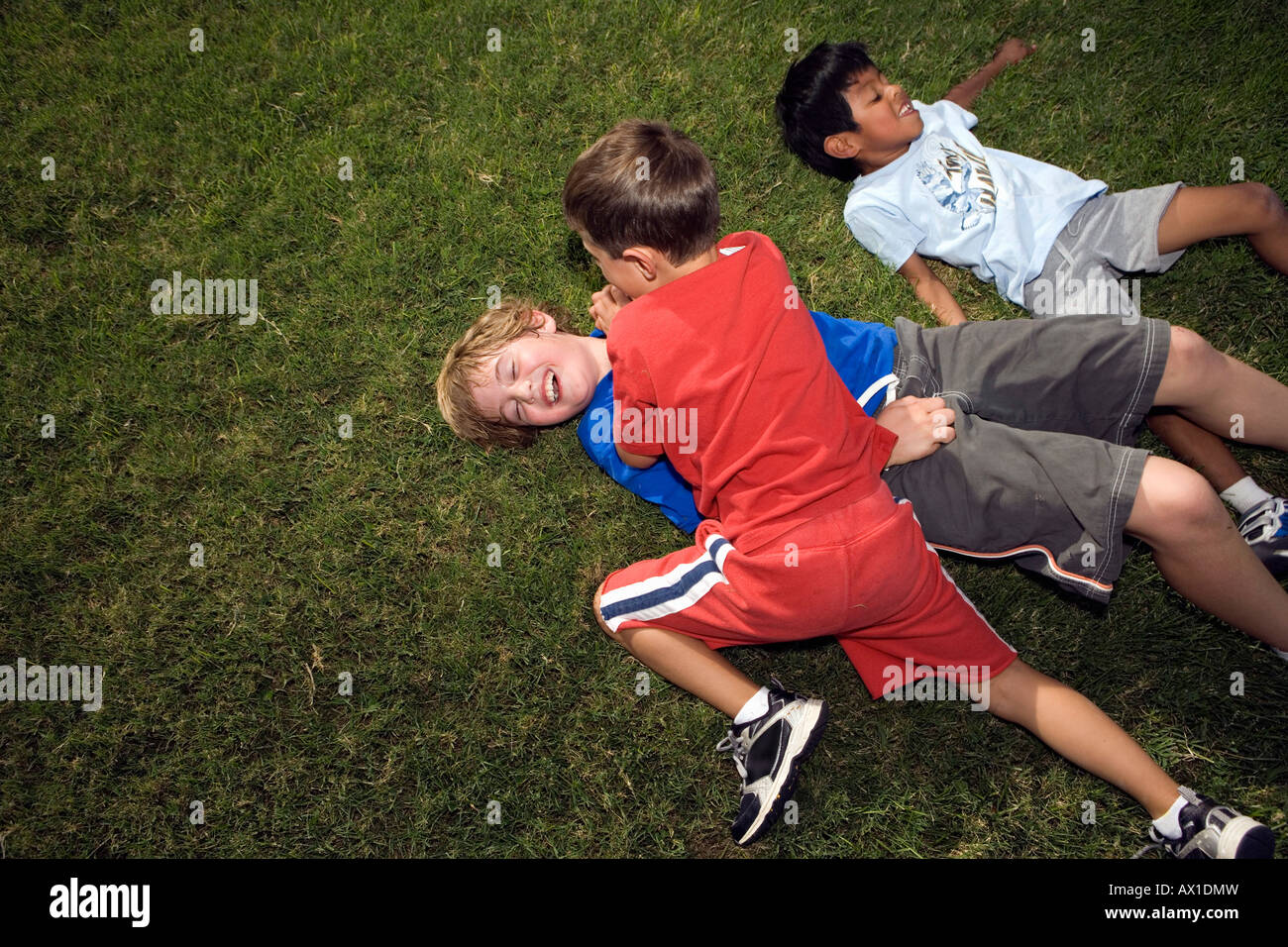 Boys Roughing Housing outside on Lawn Stock Photo